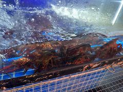-回·龙虾铺·盆盆蟹·烧烤大排档(回龙观店)