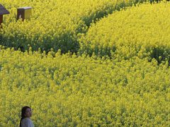 -中国天府农业博览园