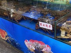 -东江海鲜酒家(艺都分店)