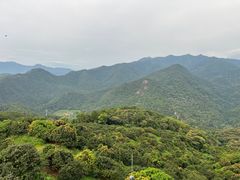 -广州市石门国家森林公园