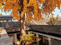 -自如ZSPACE四合院艺术餐厅