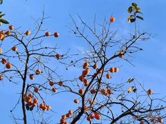 -颐而康按摩(八一桥总店)