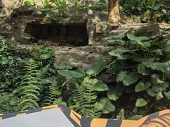 -广州长隆野生动物世界
