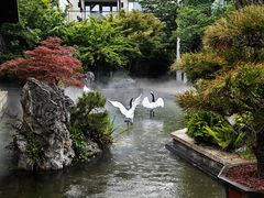-广富林宰相府酒店·水云间
