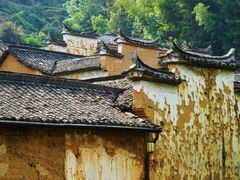 -杨家堂村