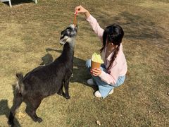 -盈香心动乐园