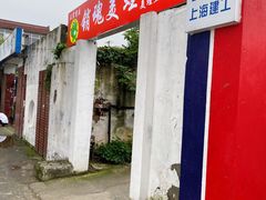 -销魂美蛙鱼头火锅(上海首店)