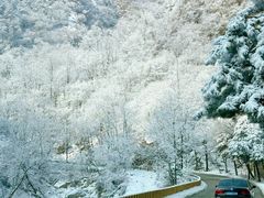 -秦岭终南山世界地质公园翠华山景区