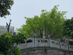 -龙潭水乡