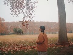 -河南省黄河迎宾馆