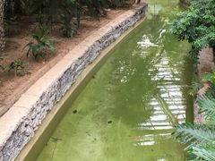 -龙达温泉生态城
