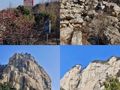 -泰山花样年华景区