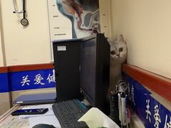 -艾贝尔宠物医院·狂犬免疫点(江山金象城店)