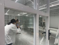 -卡门舞蹈