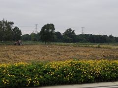 -中国天府农业博览园