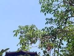 -海南文笔峰盘古文化旅游区
