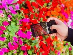 -深圳国际园林花卉博览园