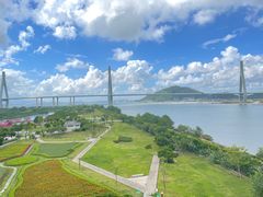 -芒洲湿地公园