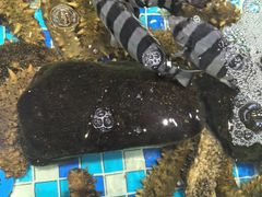-映像威海·海鲜味道(市区店)