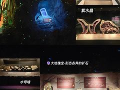 -正佳自然科学博物馆