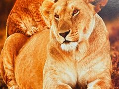 -罗红摄影艺术馆