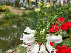 -人民公园(罗湖区)