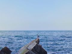 -长岛大黑山岛