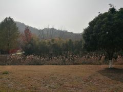 -南山风景名胜区
