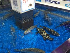 -盒马鲜生(莱蒙都会店)