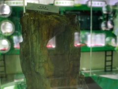 -嘉荫恐龙国家地质公园