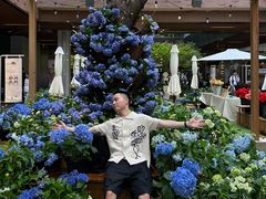 -瑞虹新天地月亮湾