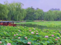 -皇家御河游(紫御湾码头)