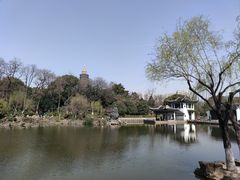 -红梅公园