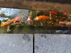 -颐和•海鲜砂锅粥•啫啫煲(奥林匹克广场店)