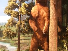 -陕西自然博物馆