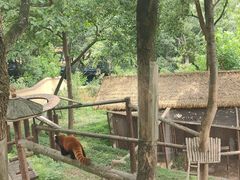 -乐和乐都主题乐园