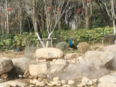 -无锡动物园·太湖欢乐园