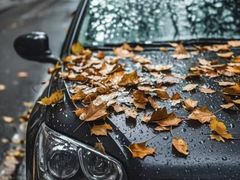 -浙江大学医学院附属第二医院(解放路院区)