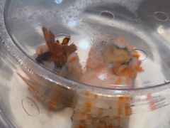 -新一番三文鱼寿司(红城湖店)