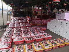 -双福水果批发市场