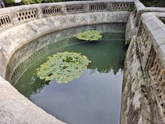 -习家池