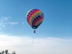 -洪湖湿地生态园