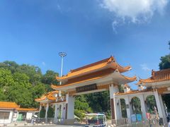 -深圳仙湖植物园