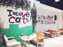 -藏猫猫咖啡主题馆(中央大道店)