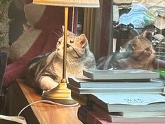 -咖法森林·咖啡  酒吧(天河店)