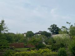 -春色如许·茶食餐厅(桃李春风店)