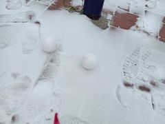 -长春公园(普阳街道)