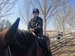 -北京群众马术培训基地