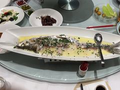 -沪碟·精菜坊(闵行店)