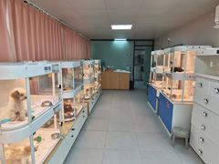 -翊宠yipet猫狗购宠庄园犬舍•猫舍